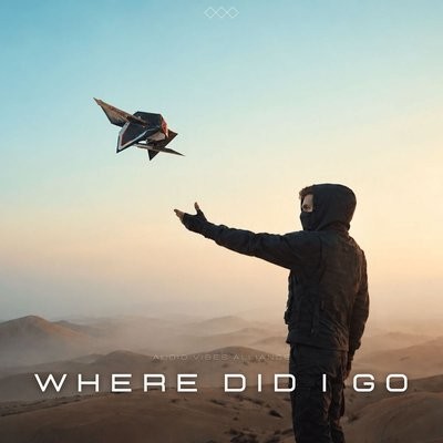 کاور آهنگ Where Did I Go از
                 Audio Vibes Alliance 