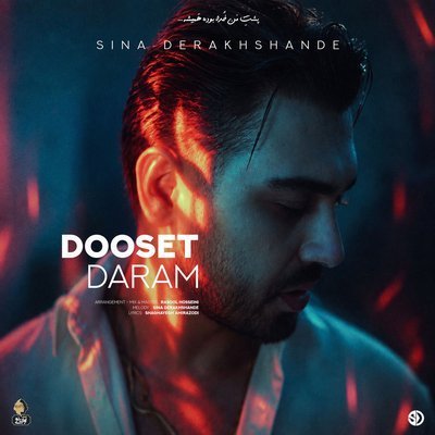 Dooset Daram - Sina Derakhshande