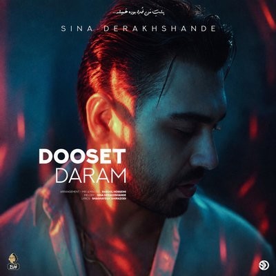 کاور آهنگ Dooset Daram از
                 Sina Derakhshande 