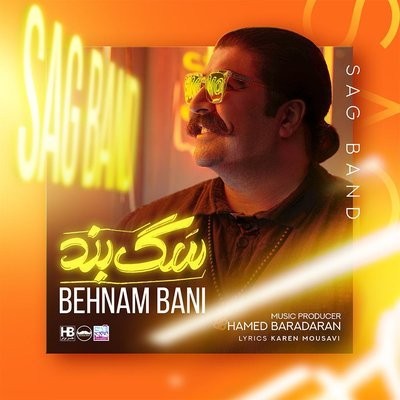 کاور آهنگ Sag Band از
                 Behnam Bani 