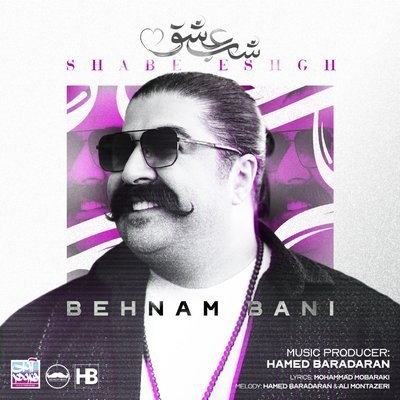 کاور آهنگ Shabe Eshgh از
                 Behnam Bani 