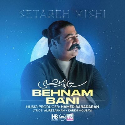 کاور آهنگ Setareh Mishi از
                 Behnam Bani 