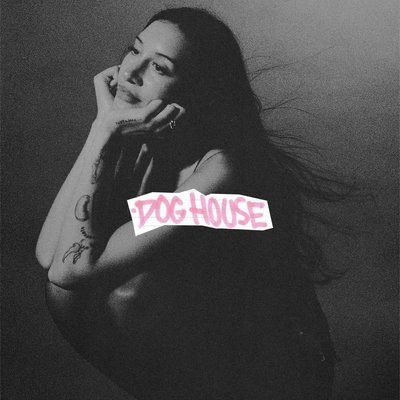 کاور آهنگ DOG HOUSE از
                 Drake 