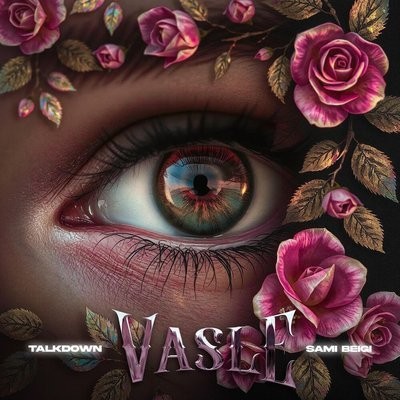 کاور آهنگ Vasleh (feat. sami beigi) از
                 Talk Down 