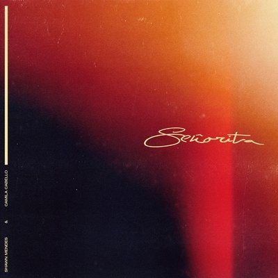 کاور آهنگ Señorita از
                 Shawn Mendes 