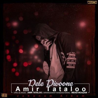 کاور آهنگ Dele Divoone از
                 Amir Tataloo 
