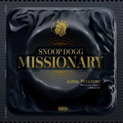 کاور آهنگ Fore Play از
                 Snoop Dogg 