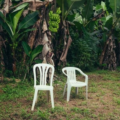 کاور آهنگ CAFé CON RON از
                 Bad Bunny 