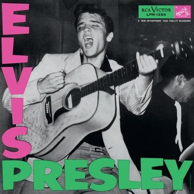 کاور آهنگ I Love You Because از
                 Elvis Presley 