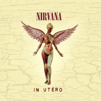 کاور آهنگ Rape Me از
                 Nirvana 