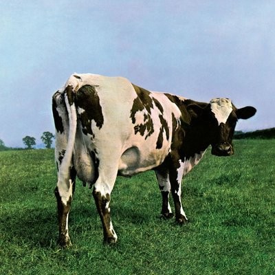 کاور آهنگ Fat Old Sun از
                 Pink Floyd 