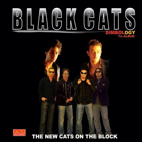کاور آهنگ Khanoom از
                                 Black Cats 