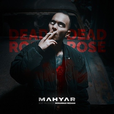 کاور آهنگ Dead Rose از
                                 Mahyar 